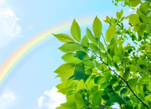 「七衣美咲」の由来